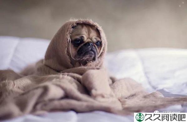 2022社会语录（忍住不许笑）