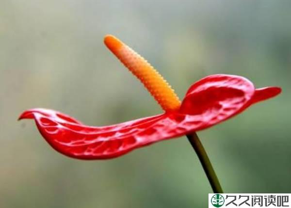 “有福之人，必有天相”：一个人有无福气，看这四样就够了，很准