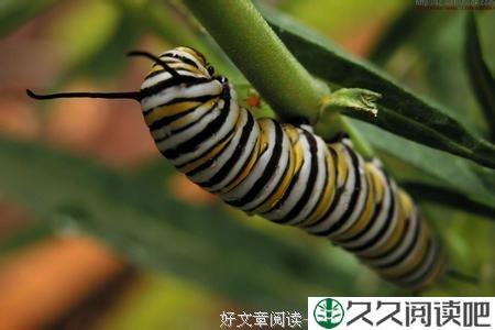 可怕的圆周运动