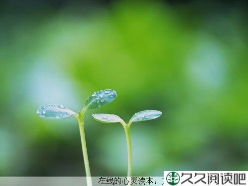 用度量去宽容别人