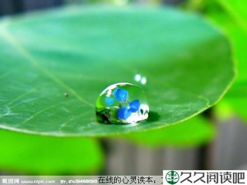 赠人玫瑰，手留余香