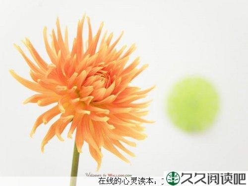 失败是人生的财富