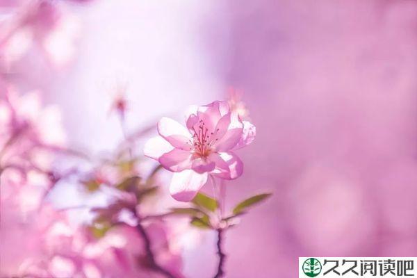 岁月证明一切，时光最懂人心