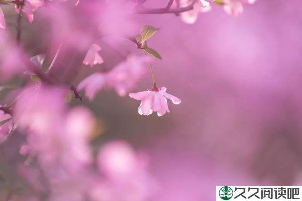 岁月证明一切，时光最懂人心