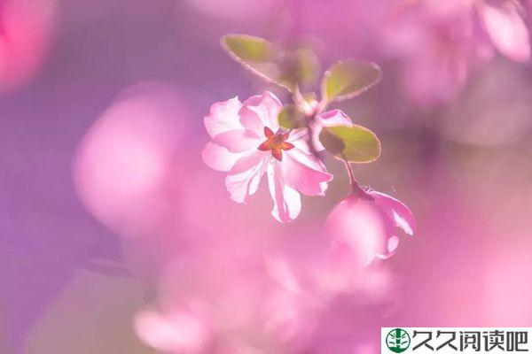 岁月证明一切，时光最懂人心