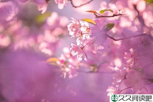 岁月证明一切，时光最懂人心