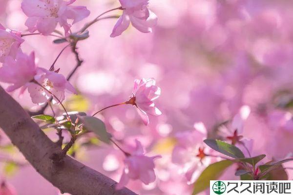 岁月证明一切，时光最懂人心