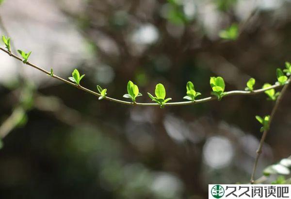 人生没有完美，只有完善