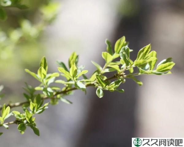 人生没有完美，只有完善