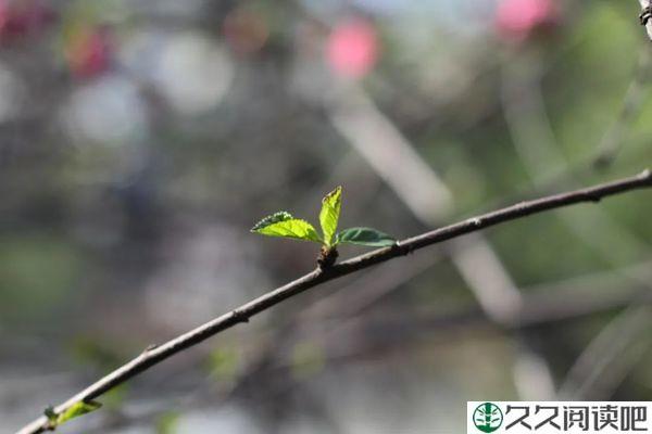 人生没有完美，只有完善