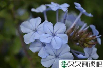 愿每一个春来处，你明媚如故