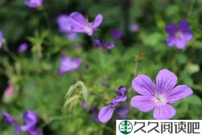 愿每一个春来处，你明媚如故