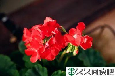愿每一个春来处，你明媚如故