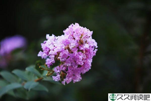 父亲的格，母亲的情绪，是一个家最好的风水