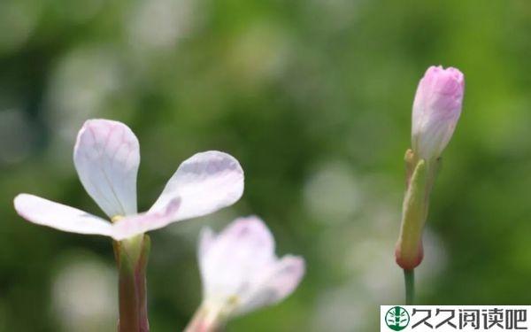 简单点，糊涂点，幸福就会多一点
