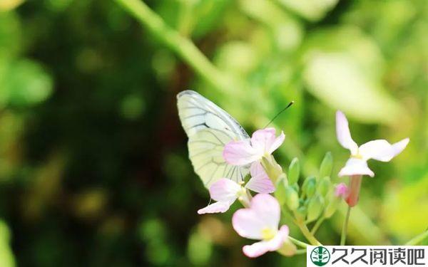 简单点，糊涂点，幸福就会多一点