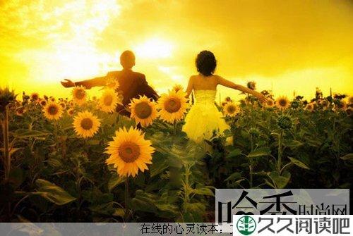 爱情，你懂了吗
