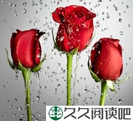 你的爱情是什么样的