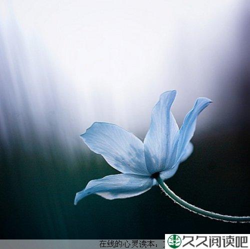 平淡中的温暖