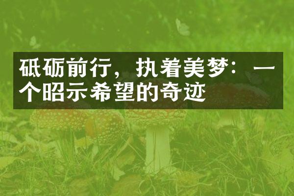 砥砺前行，执着美梦：一个昭示希望的奇迹
