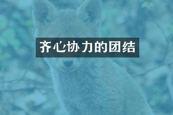 齐心协力的团结