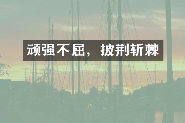 顽强不屈，披荆斩棘
