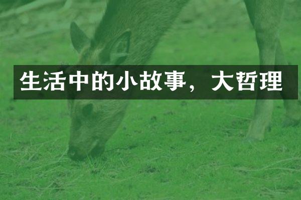 生活中的小故事，大哲理