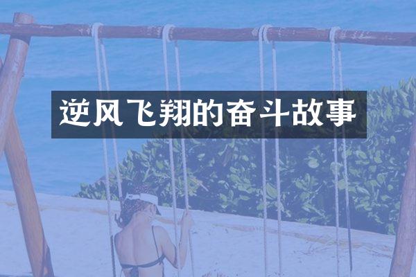 逆风飞翔的奋斗故事
