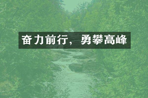 奋力前行，勇攀高峰