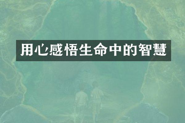 用心感悟生命中的智慧