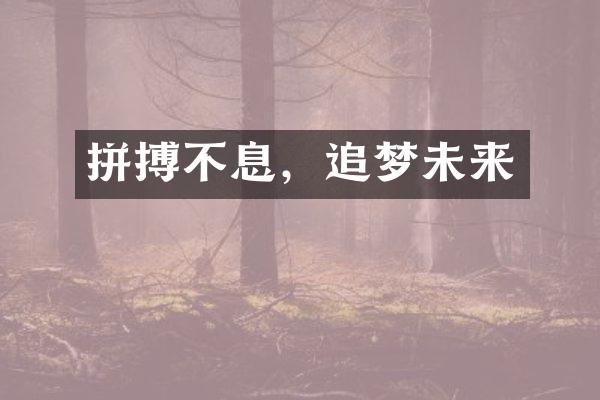 拼搏不息，追梦未来