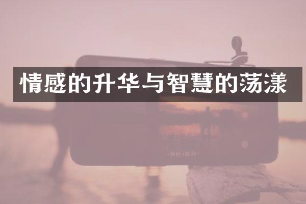 情感的升华与智慧的荡漾