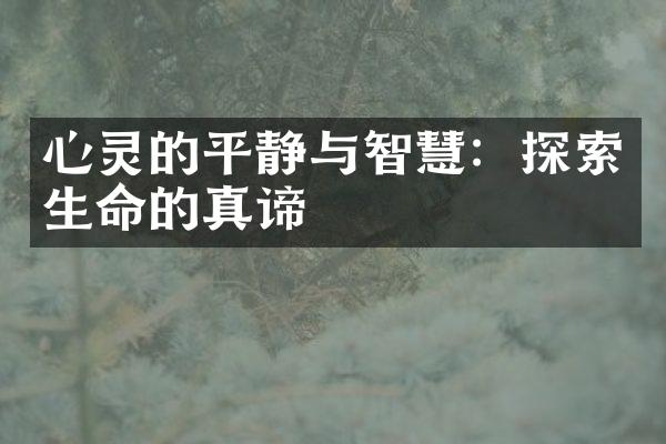 心灵的平静与智慧：探索生命的真谛