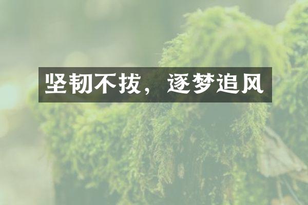 坚韧不拔，逐梦追风