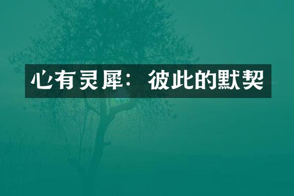心有灵犀：彼此的默契