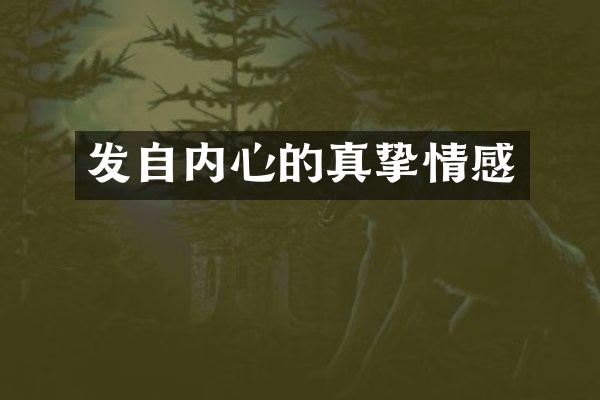 发自内心的真挚情感