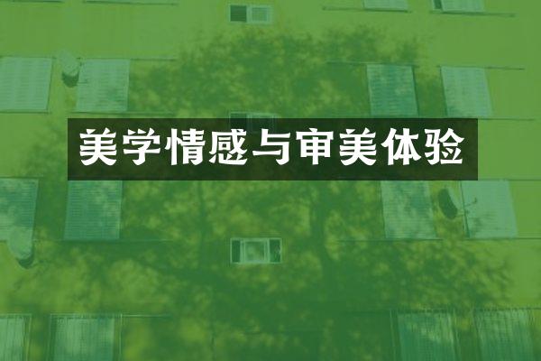 美学情感与审美体验