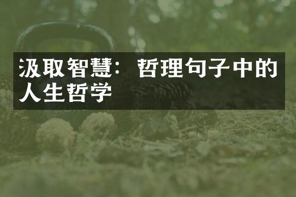 汲取智慧：哲理句子中的人生哲学
