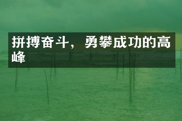 拼搏奋斗，勇攀成功的高峰