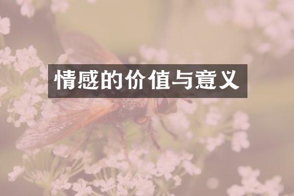 情感的价值与意义