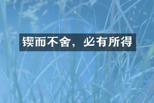 锲而不舍，必有所得