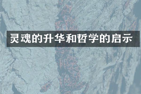 灵魂的升华和哲学的启示