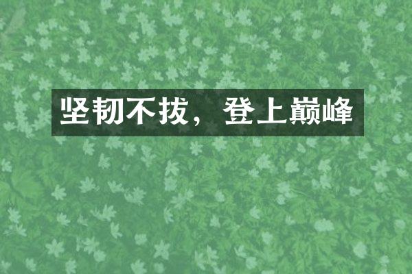 坚韧不拔，登上巅峰