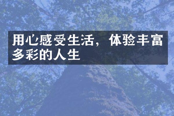 用心感受生活，体验丰富多彩的人生