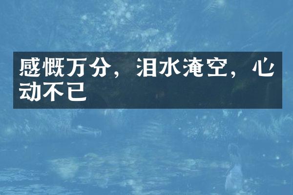 感慨万分，泪水淹空，心动不已