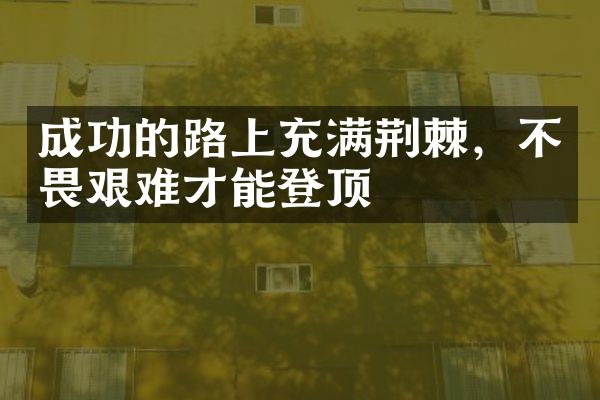 成功的路上充满荆棘，不畏艰难才能登顶