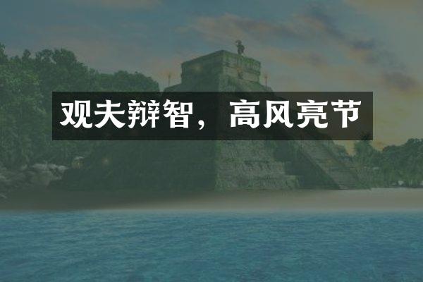 观夫辩智，高风亮节