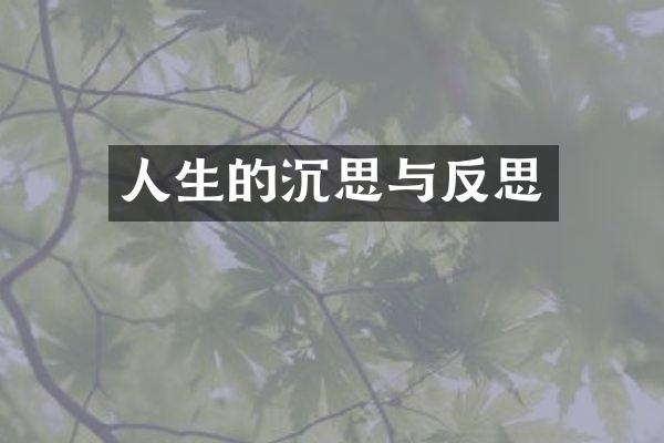 人生的沉思与反思