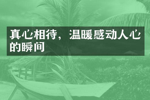 真心相待，温暖感动人心的瞬间
