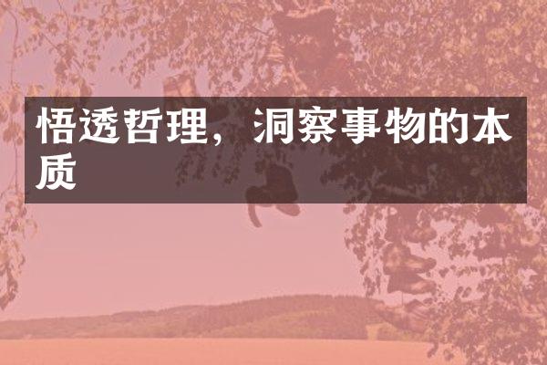 悟透哲理，洞察事物的本质